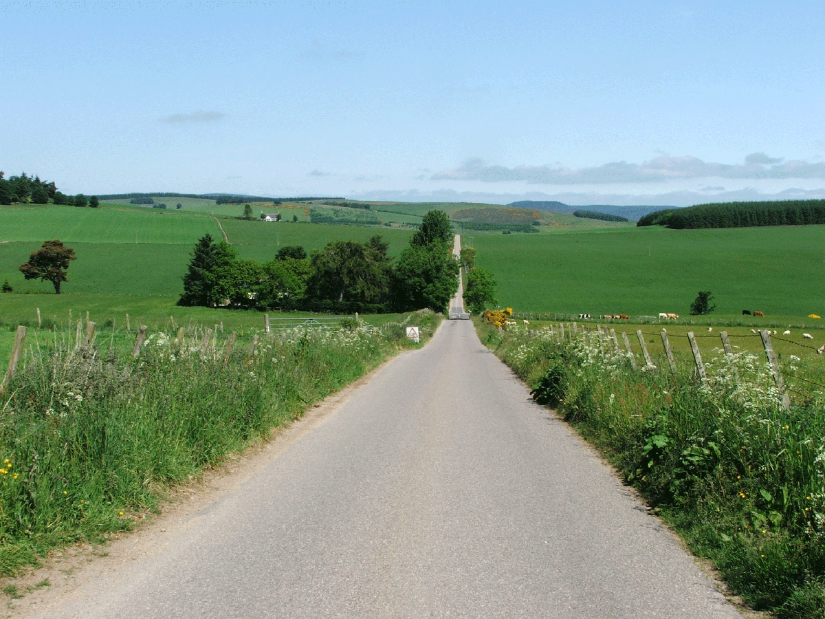 Military Road